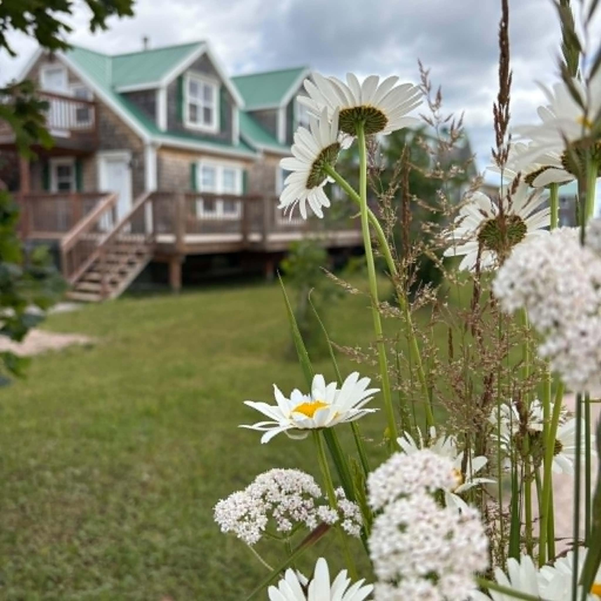 Paysage de la Gaspésie autour du Camp de base